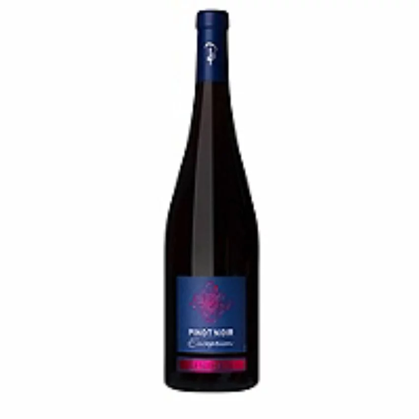 Vente flash ???? Bestheim Exception, 2018 - Alsace Pinot Noir AOC - Rouge - 75 cl ???? 4 Vente flash ???? Bestheim Exception, 2018 - Alsace Pinot Noir AOC - Rouge - 75 cl ???? – Image 2