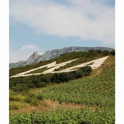 Acheter ⭐ Mas Amiel Carerades, 2012 - Côtes-du-Roussillon-Villages AOP - Rouge - 75 cl ???? -Vins Rouges Soldes 3281540014116 6