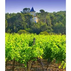 Bon marché ???? Mouline de Ciffre Altiniac Grande Cuvée, 2018 - Faugères AOP - Rouge - 75 cl ???? 11 Bon marché ???? Mouline de Ciffre Altiniac Grande Cuvée, 2018 - Faugères AOP - Rouge - 75 cl ???? -Vins Rouges Soldes 3454781519652 3