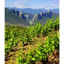 Bon marché ???? Mouline de Ciffre Altiniac Grande Cuvée, 2018 - Faugères AOP - Rouge - 75 cl ???? 13 Bon marché ???? Mouline de Ciffre Altiniac Grande Cuvée, 2018 - Faugères AOP - Rouge - 75 cl ???? -Vins Rouges Soldes 3454781519652 5