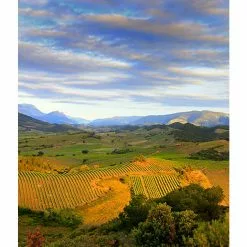 Bon marché ???? Mouline de Ciffre Altiniac Grande Cuvée, 2018 - Faugères AOP - Rouge - 75 cl ???? 14 Bon marché ???? Mouline de Ciffre Altiniac Grande Cuvée, 2018 - Faugères AOP - Rouge - 75 cl ???? -Vins Rouges Soldes 3454781519652 6