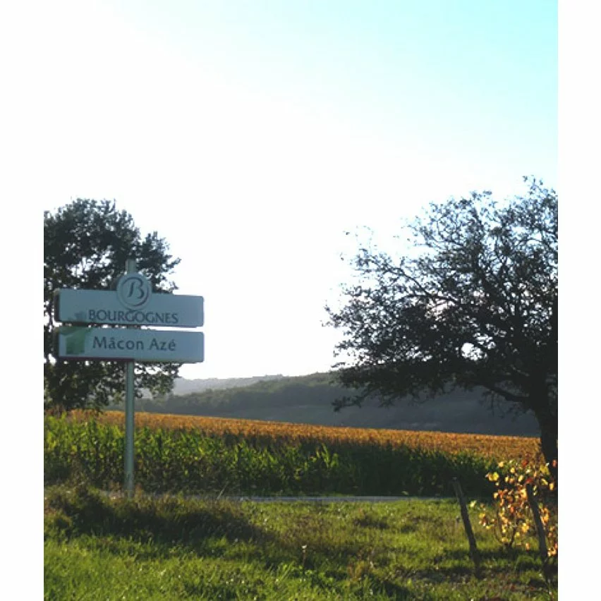 De gros ???? Baronne de Saint-Jean, 2021 - Mâcon-Azé AOP - Rouge - 75 cl ???? 7 De gros ???? Baronne de Saint-Jean, 2021 - Mâcon-Azé AOP - Rouge - 75 cl ???? – Image 5