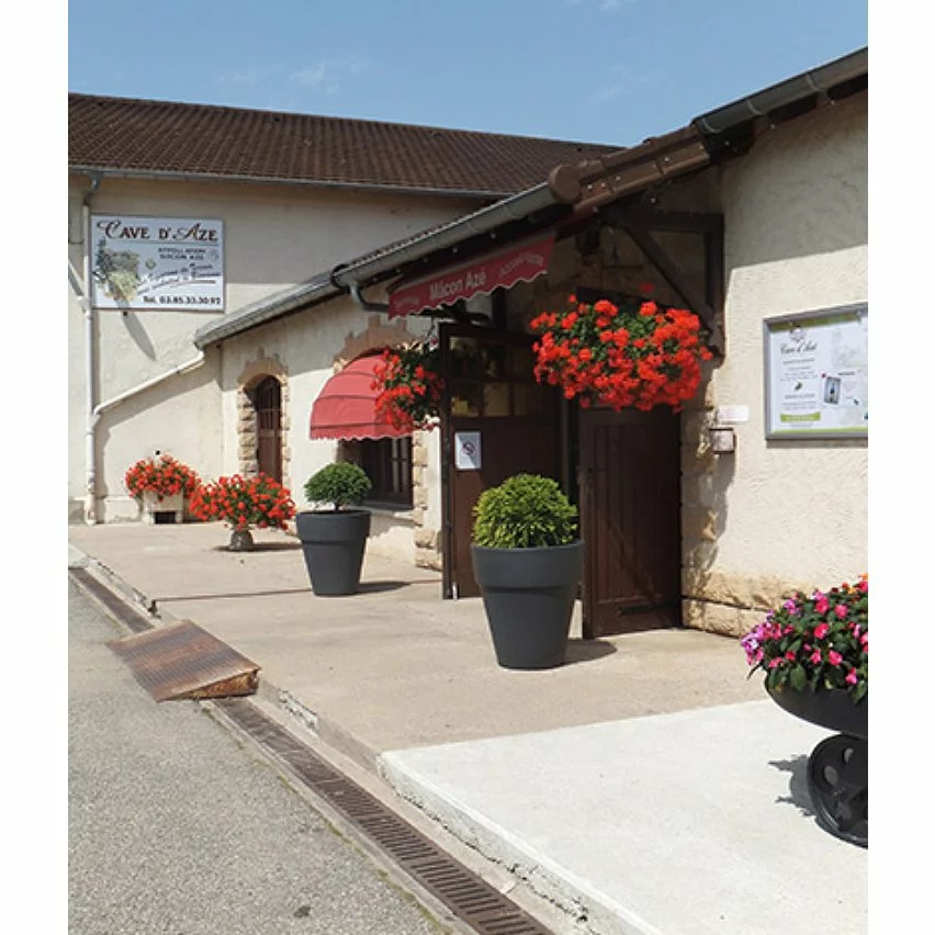 De gros ???? Baronne de Saint-Jean, 2021 - Mâcon-Azé AOP - Rouge - 75 cl ???? 8 De gros ???? Baronne de Saint-Jean, 2021 - Mâcon-Azé AOP - Rouge - 75 cl ???? – Image 6