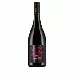 Acheter ???? Domaine de la Renne Variation, 2019 - Touraine AOP - Rouge - 75 cl ????