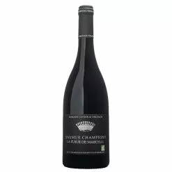 Nouveau ???? Domaine Vincenot & Fils 2019 BIO, 2019 - Saumur-Champigny AOP - Rouge - 75 cl ✨