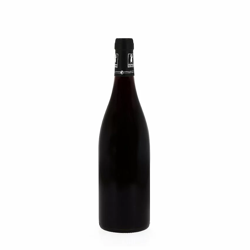 Sortie ❤️ Domaine de la Tradition, 2021 - Chénas AOP - Rouge - 75 cl ???? 5 Sortie ❤️ Domaine de la Tradition, 2021 - Chénas AOP - Rouge - 75 cl ???? – Image 3